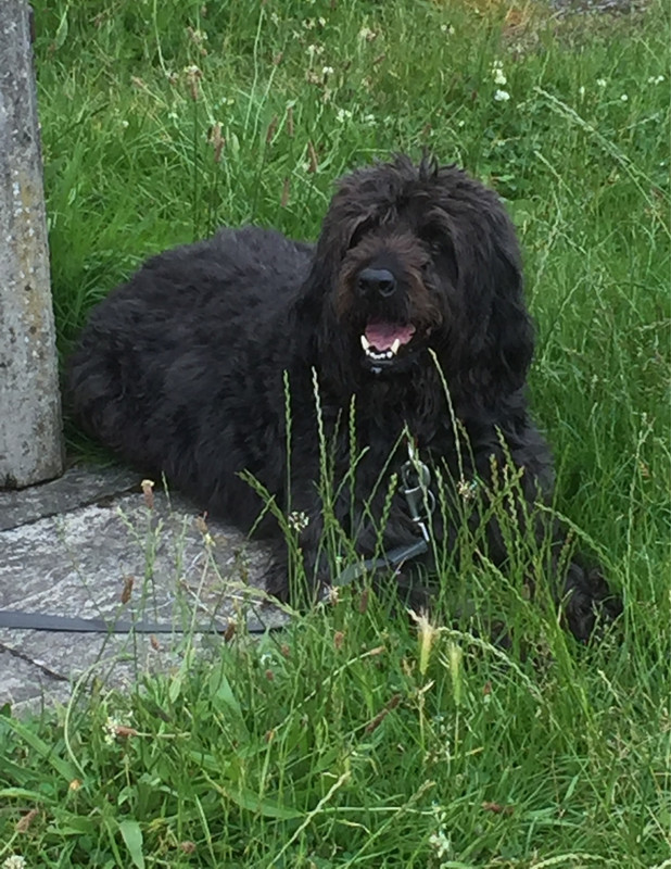 6F6E1DFA-BEB4-4257-B59A-9E8C730D3EF3