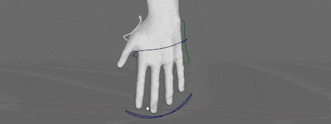 c-hand-root-palm.gif
