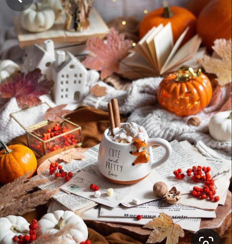 Screenshot_20230905_015920_Pinterest