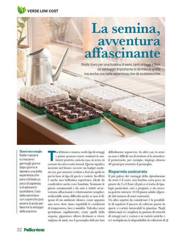 Pol Ver Feb 2026 (3)