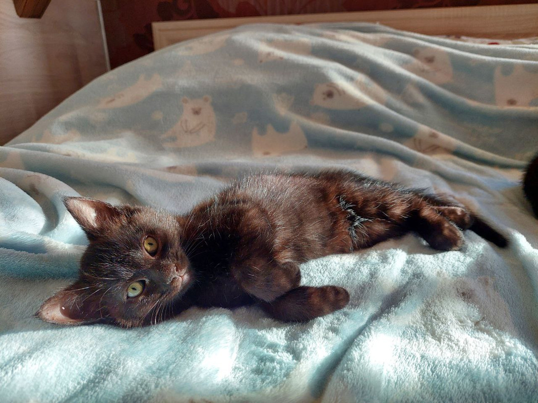 4623128E-B594-40CD-BC7C-98B7A4CC0FCA