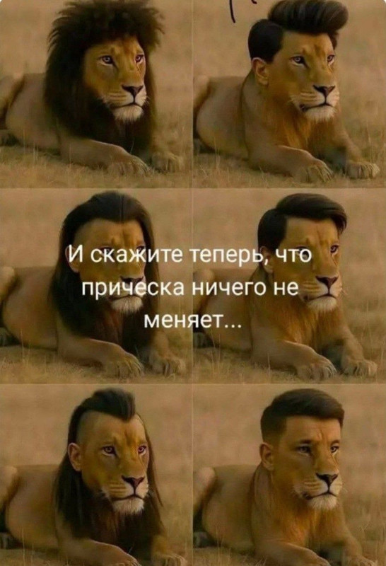[Изображение: 3747b3809a618fb895d13b0799b941fe.jpg]