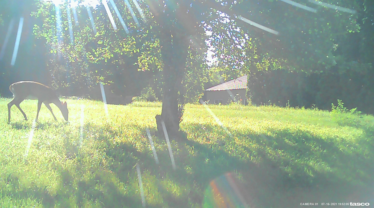 AC8CA928-3E29-4F55-B08E-497F0DB611E6