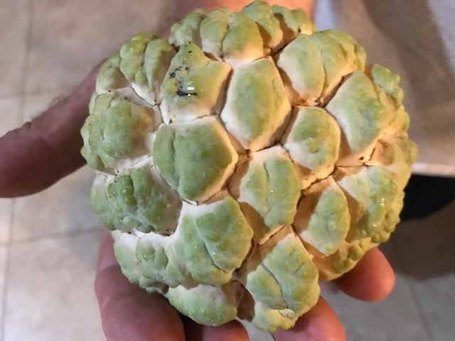 na dai