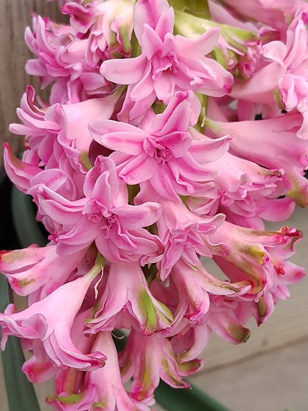 https://i.postimg.cc/59RBYHTZ/208-IMG-20230217-104759.jpg