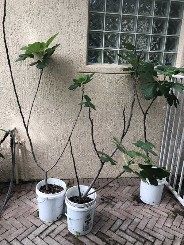 3C0DCC74-235D-4E27-9DCA-4335B28CF638