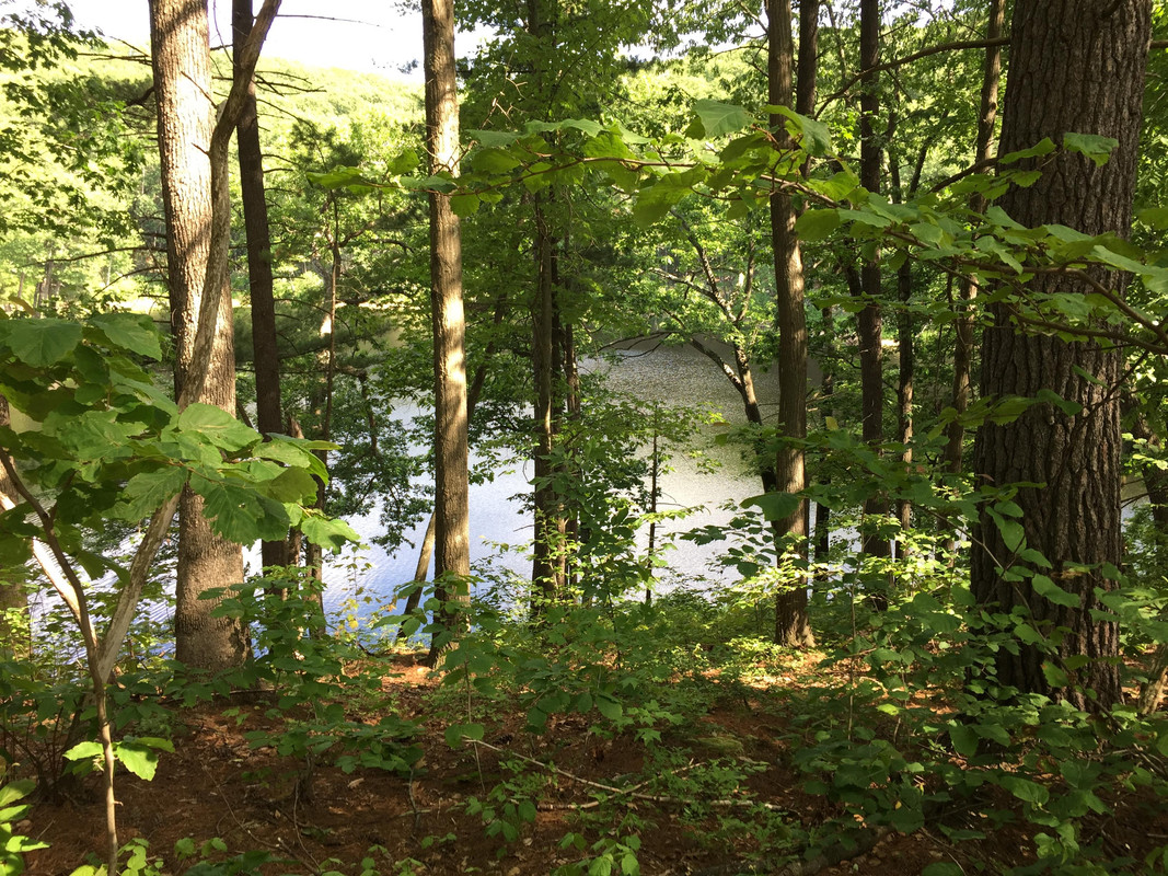 Little Hell Pond best pic