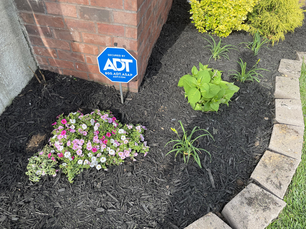 F800A31D-5E8E-4803-BA06-225DDE98E8E5