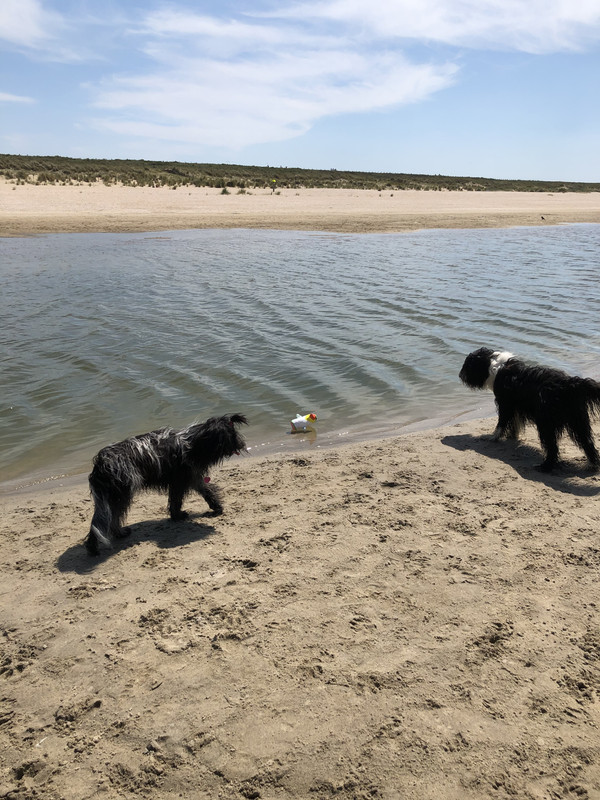 B9D9AF84-524E-4E8D-B68E-49B6895F57BA