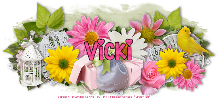 SimplyVicki Blog Coming Soon Vicki-4387B