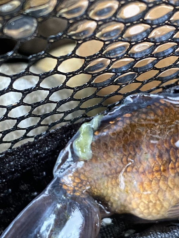 7485CA0D-7A76-4A6E-9DB3-95CC3CBAD27A