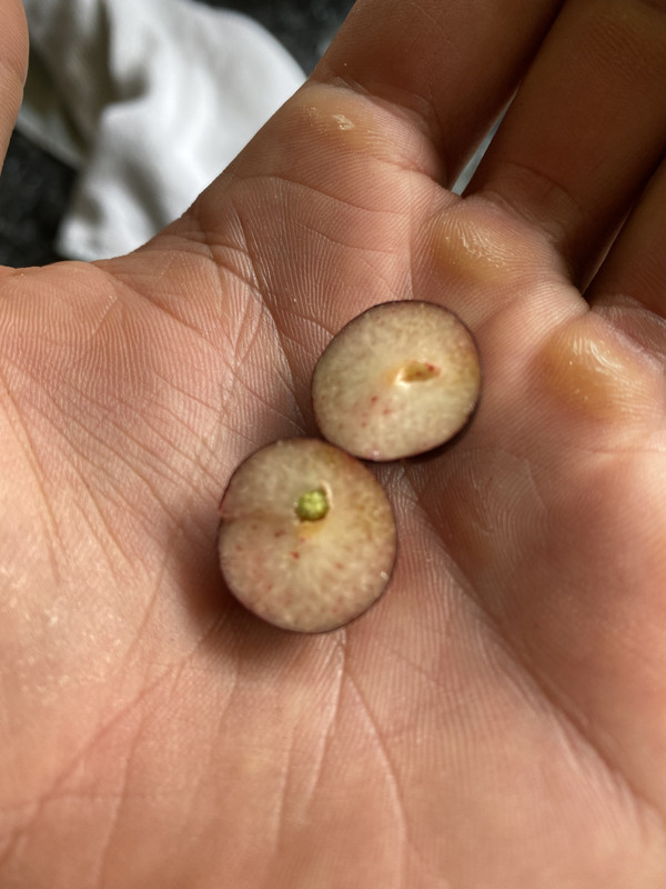 7CF43BA4-DEA3-4576-A983-7C19298F4245