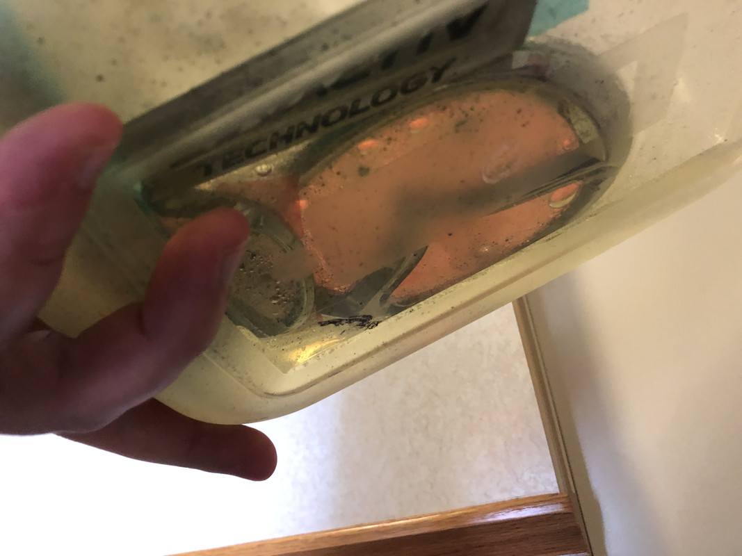 50D0F49B-A9F9-4FE9-BD83-CB868D4594FF