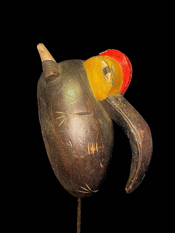 large image 1