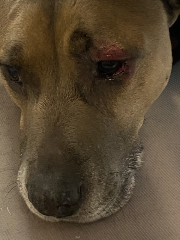 A152128F-AF09-4DBE-867C-A751C96E55C0