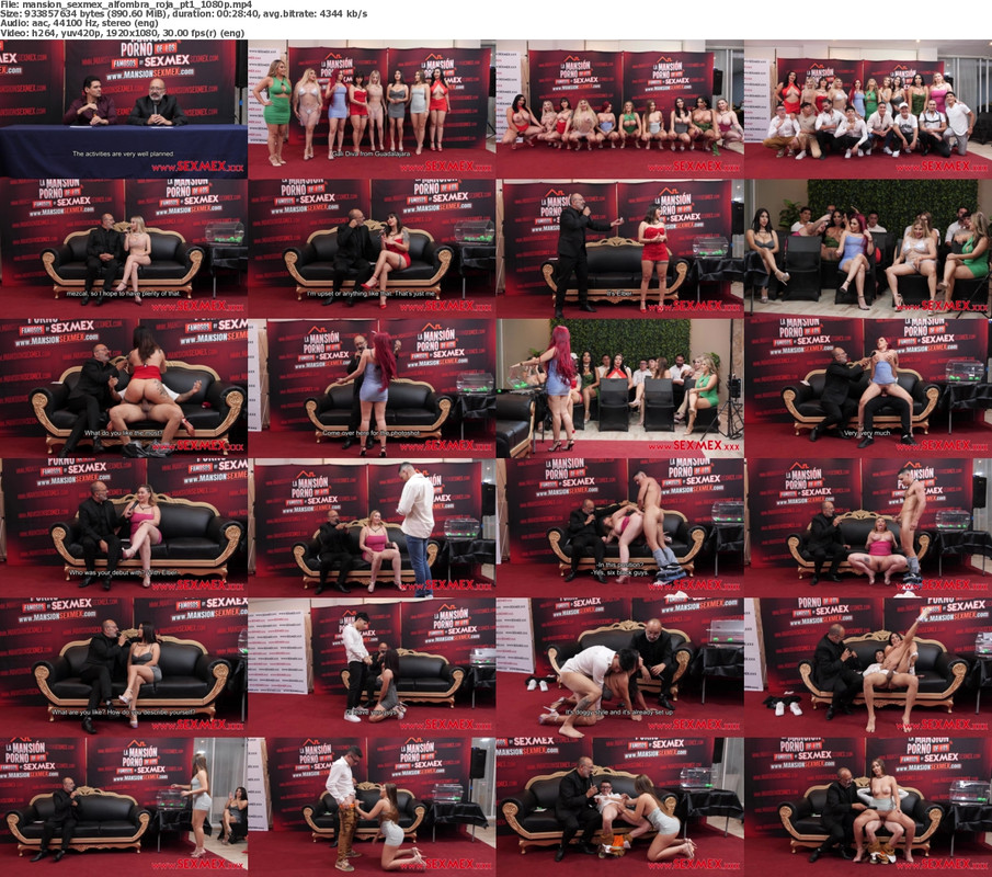 23082024172339screenshot