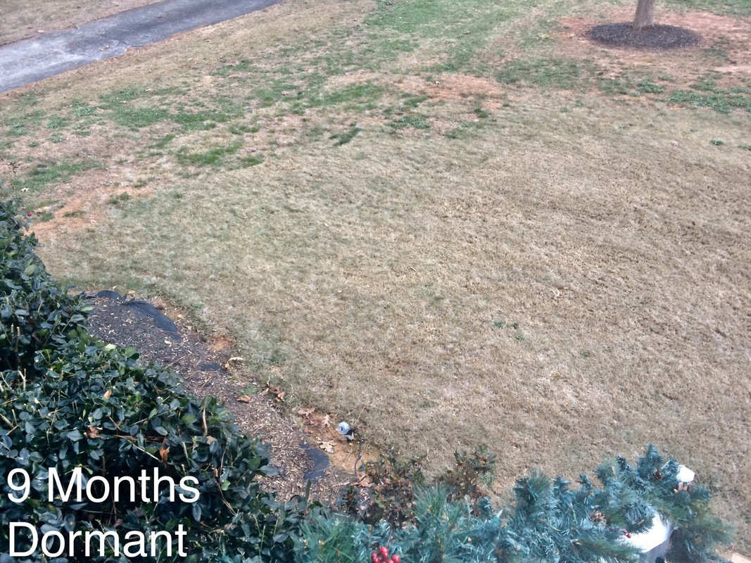 D6A61568-A847-465D-AA16-10C9ADC89BE3