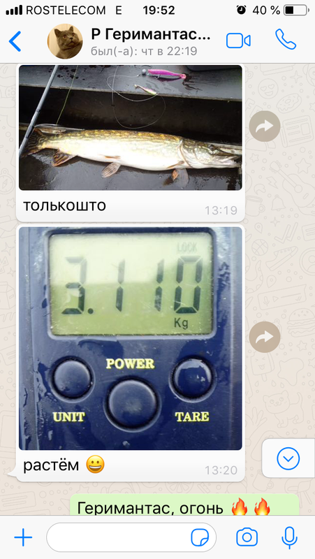 2 Геримантас Лилейка Каунасское отзыв джиг спиннинг рыбалка  блесна воблер катушка  судак щука окунь