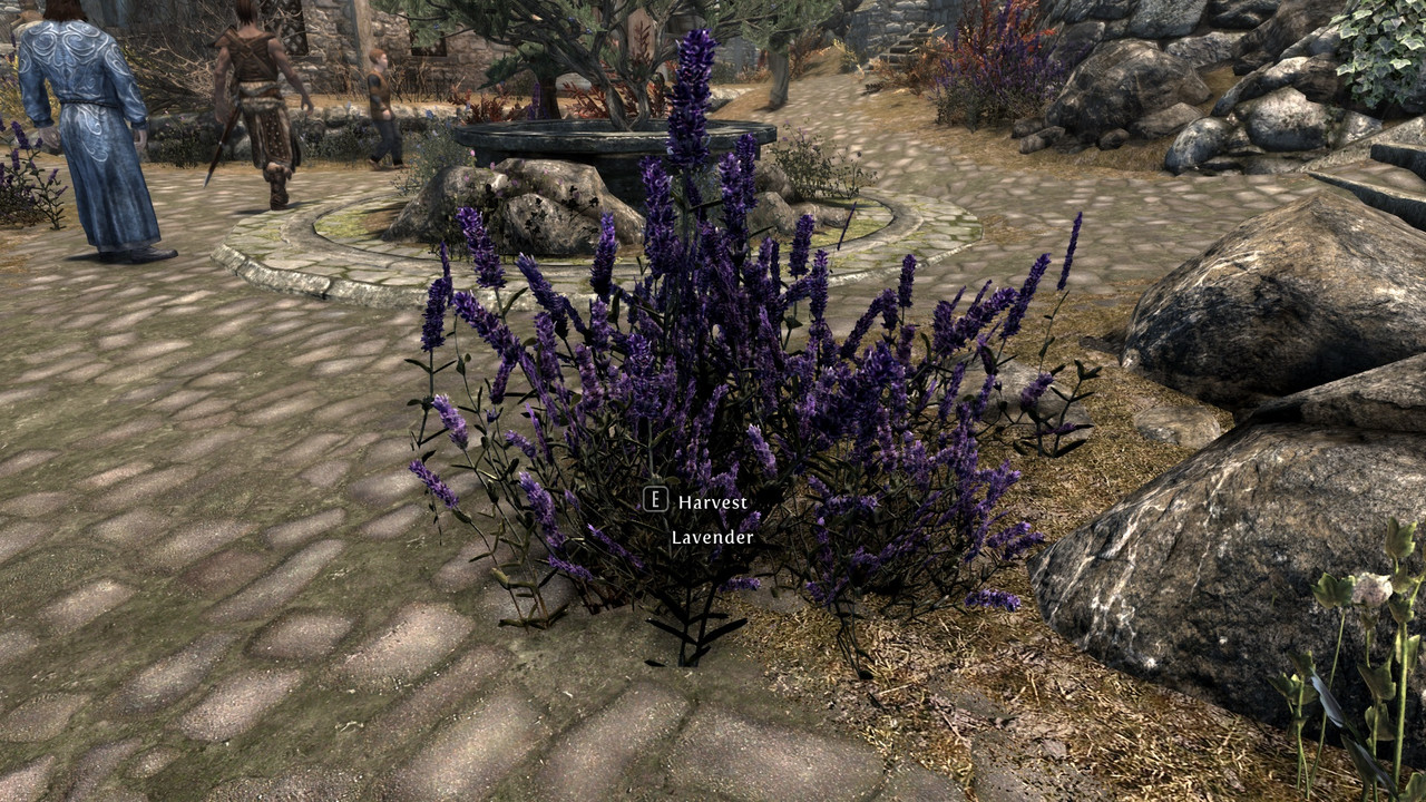 The-Elder-Scrolls-V-Skyrim-Special-Editi