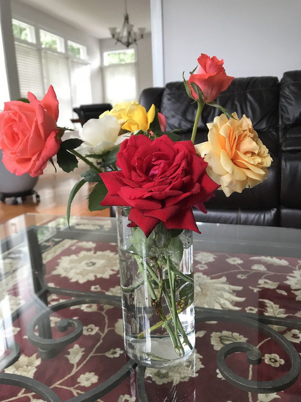 C14885C5-816E-4F7A-90D8-CD18E498CFE9