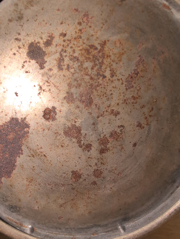 IMG 20260110 154431 393