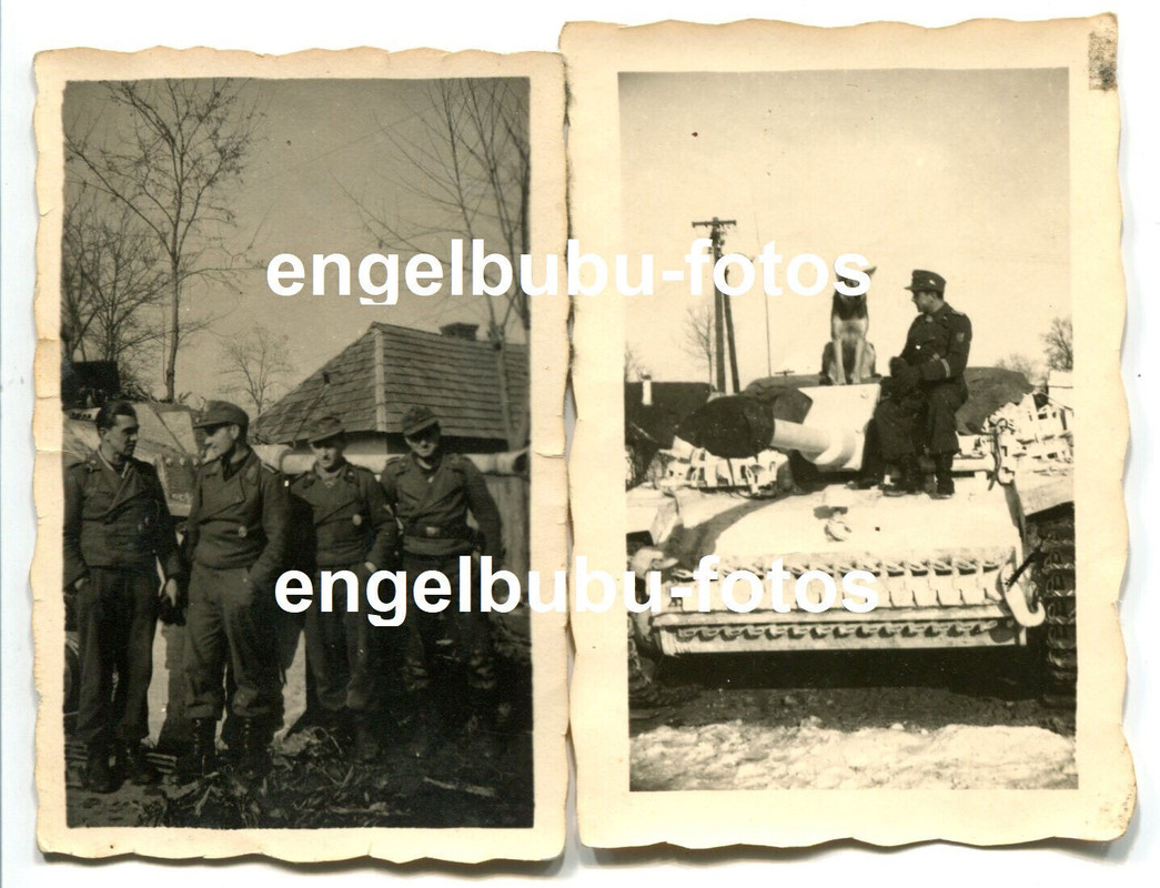 2 x FOTO - STURMGESCHÜTZ - PANZER - STUG - weiße Tarnung -Sturm-Artillerie -HUND