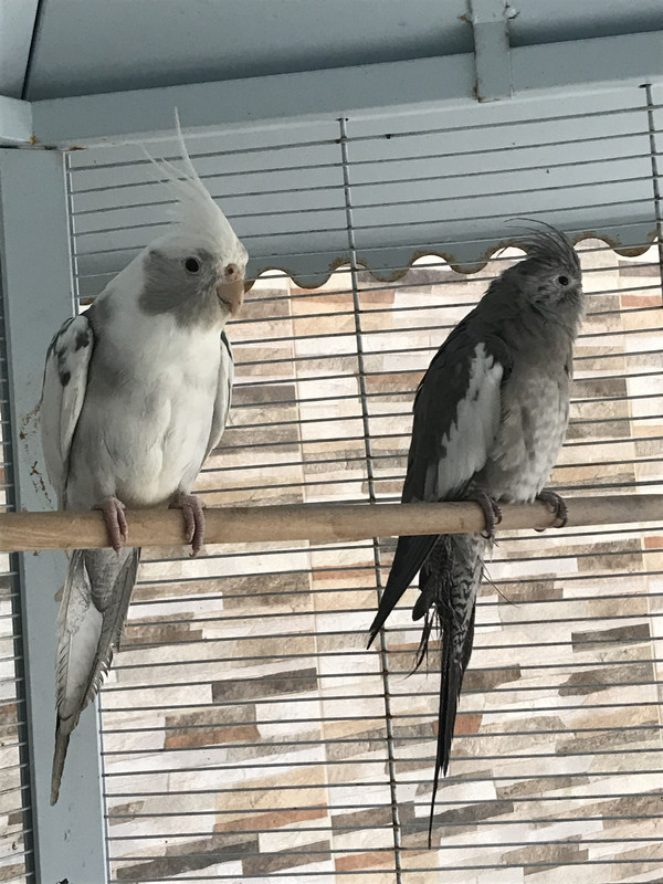 F8CC8D82-5987-400E-BC90-5B1D9E5193C1