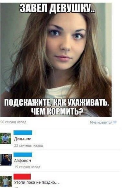 https://i.postimg.cc/59T8Q4fK/149783811-2131856880282185-1836989443754063661-n.jpg