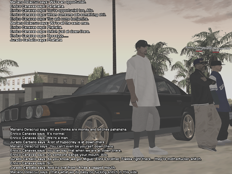 SS5.png