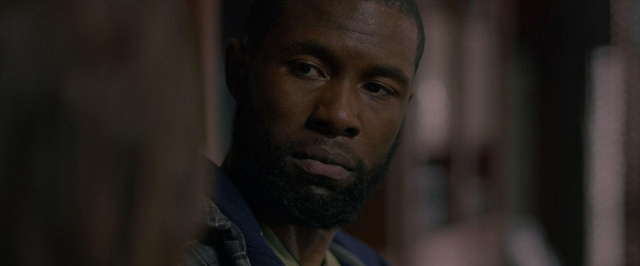 Bird Box (2018) + Extras (1080p WEBRip x265 HEVC 10bit EAC3 5.1 Atmos SAMPA) [QxR]