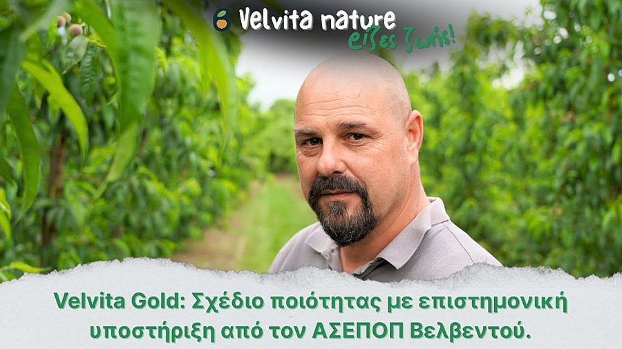 κοζάνη, ειδήσεις, νέα, Πτολεμαΐδα 