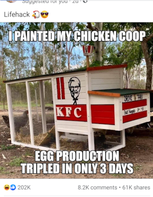 15.png