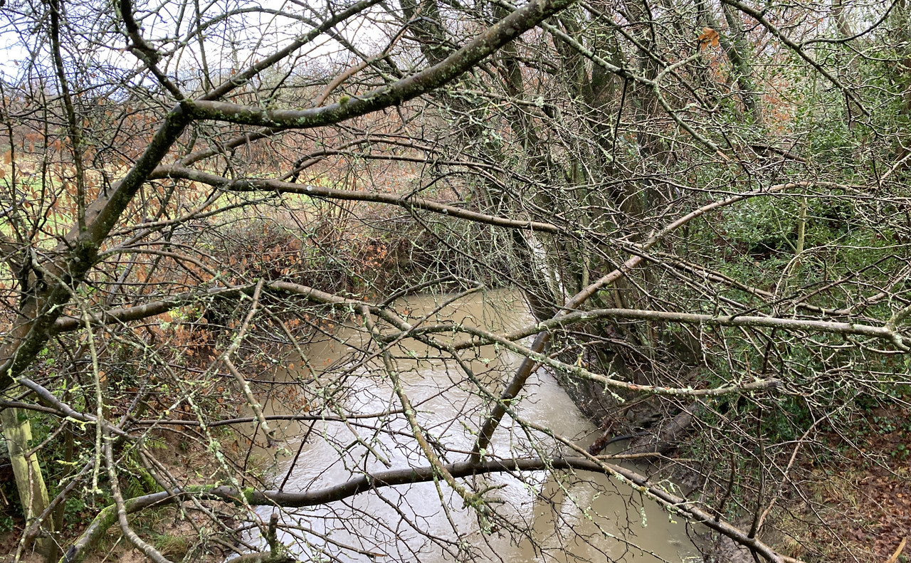 99091C13-DC4D-42E0-8EFB-51C75347EC40