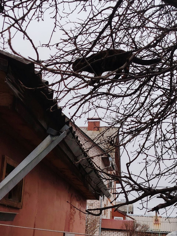 3 photo 2025 12 01 14 38 03 (3)