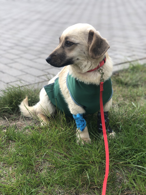 53F7A19D-7C9B-4025-ABEE-EC28D47A5B3A