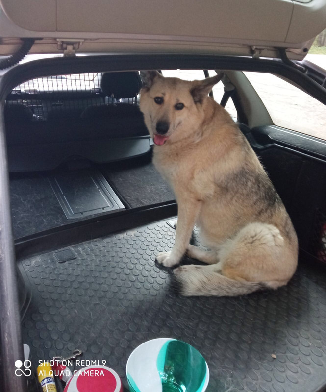 61FB0E42-6AF2-4B33-A491-496F4AA7CBD9