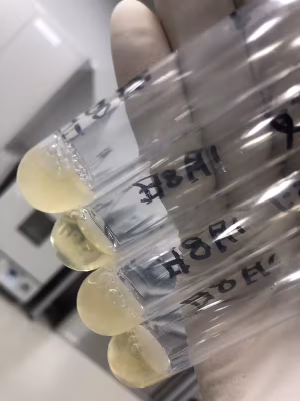 Cell Bio Lab Osaka Gel Phenotype Test Tubes 4 (Image 2)