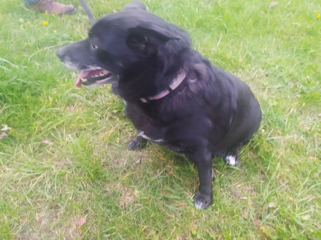 изображение_viber_2021-09-29_14-51-26-480