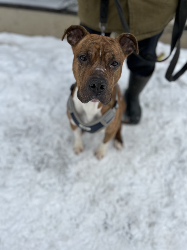 E4478248-94BD-44B4-8FED-C3E56977A4C8