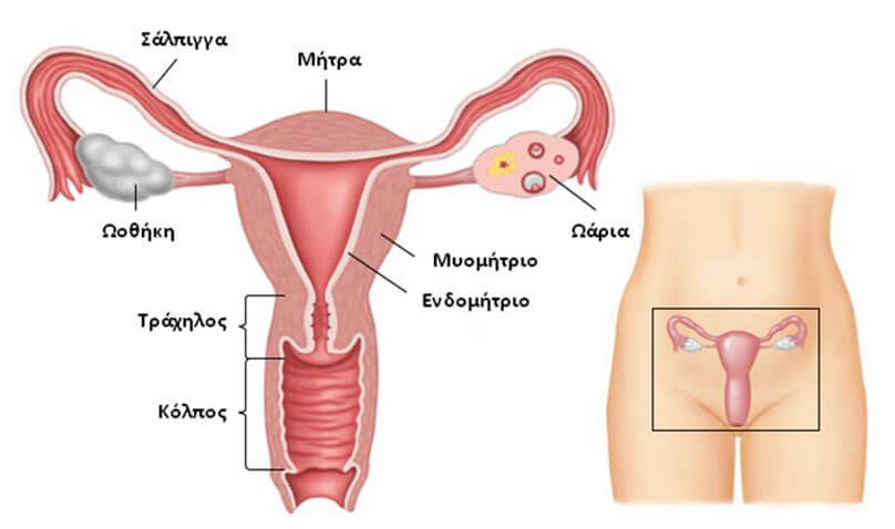 Εικόνα