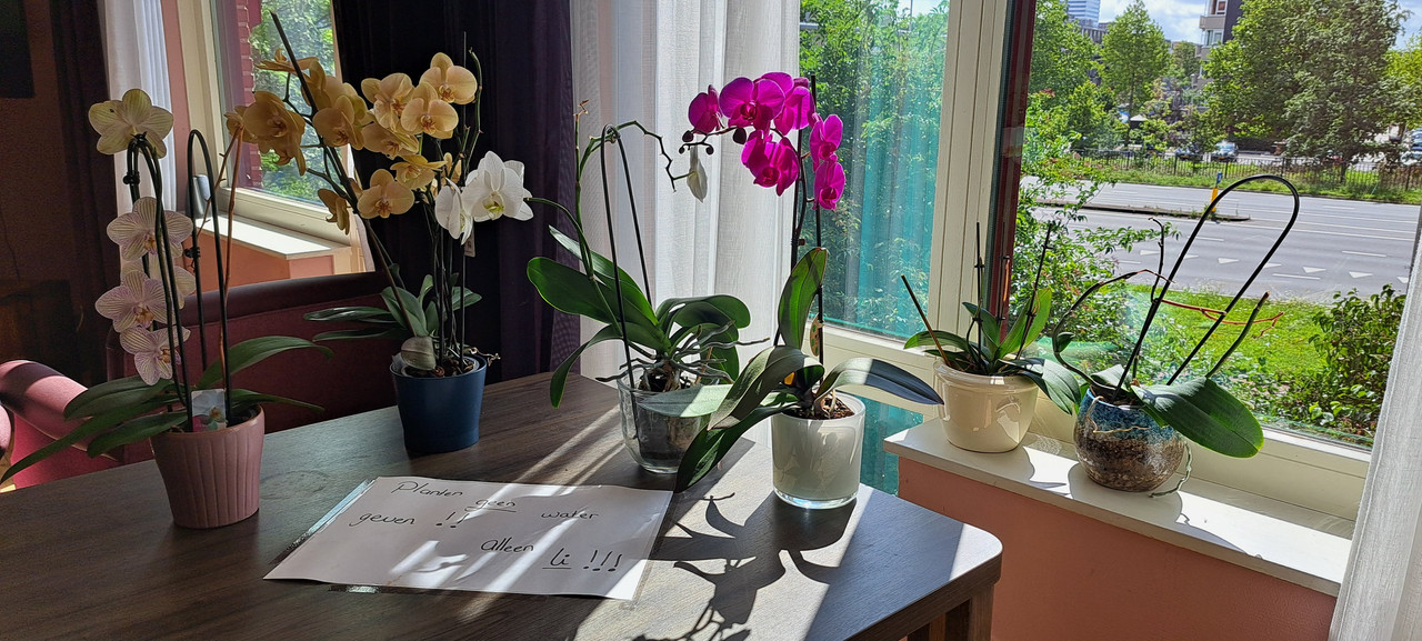 [Image: 20230801-115221.jpg]