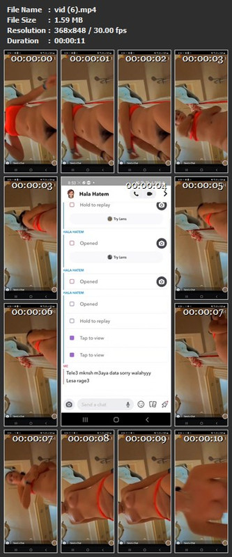 vid (6).mp4