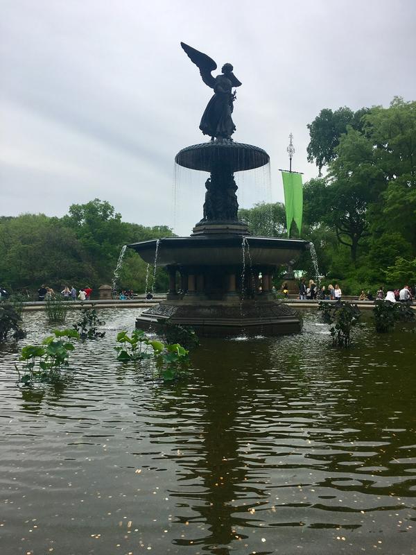 D62F2F14-11D4-43E7-95E5-0C9AB791E48E