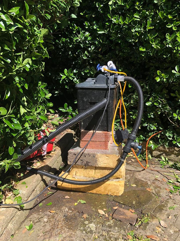 99425818_10158306093692457_2142198553303318528_o