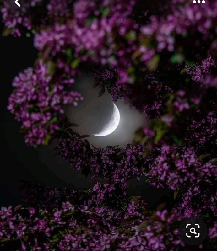 Screenshot_20240320_225337_Pinterest