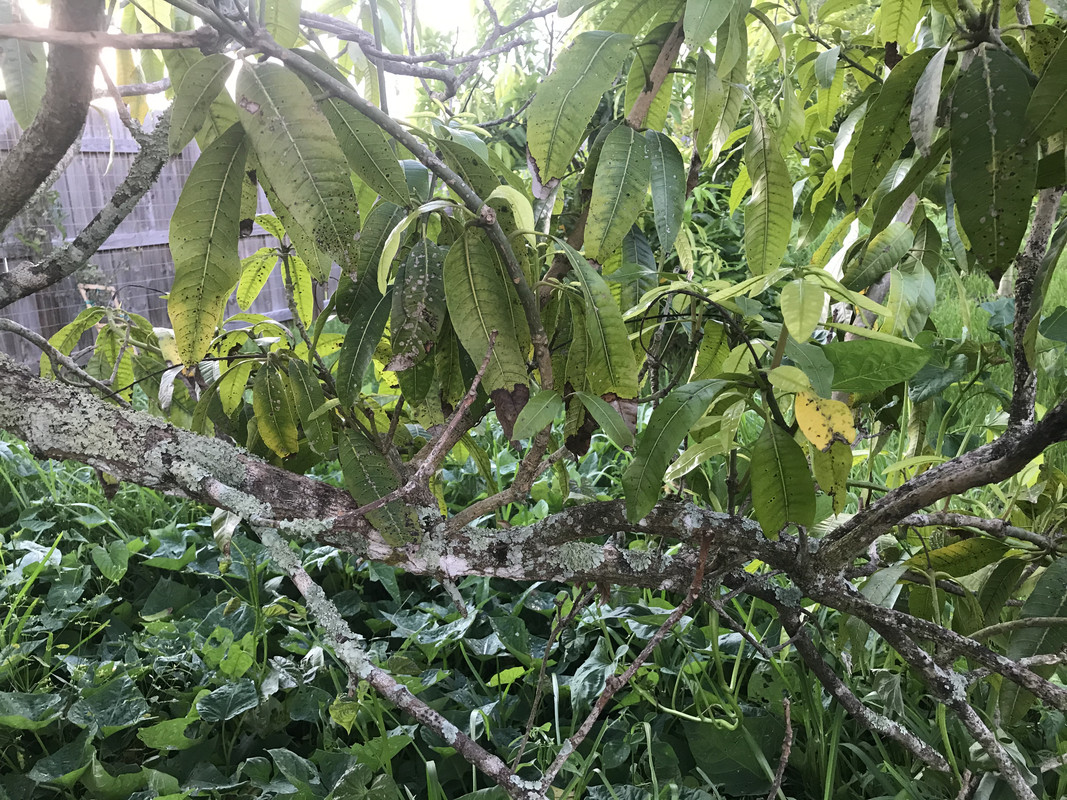 45EC25E0-B2C4-40A3-AF91-B250C67A499E