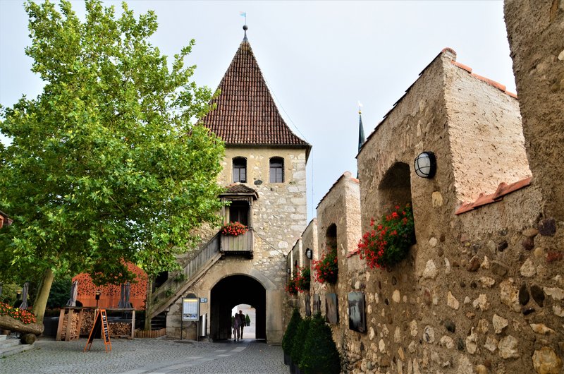 CATARATAS DEL RHIN-5-9-2019 - Suiza y sus pueblos-2019 (3)