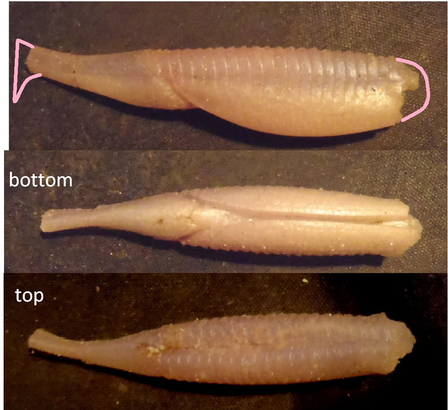 soft plastic T-tail