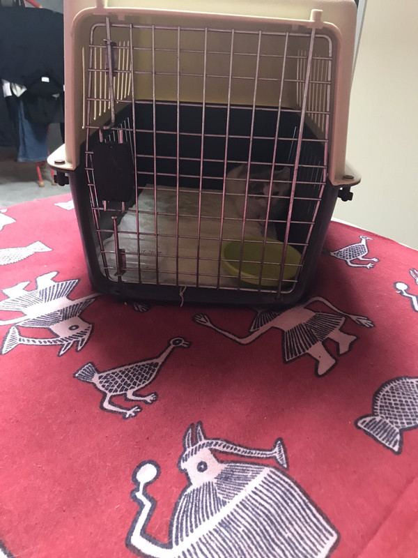 ADF8DA0D-E15B-48AD-B1DC-031328680CE1