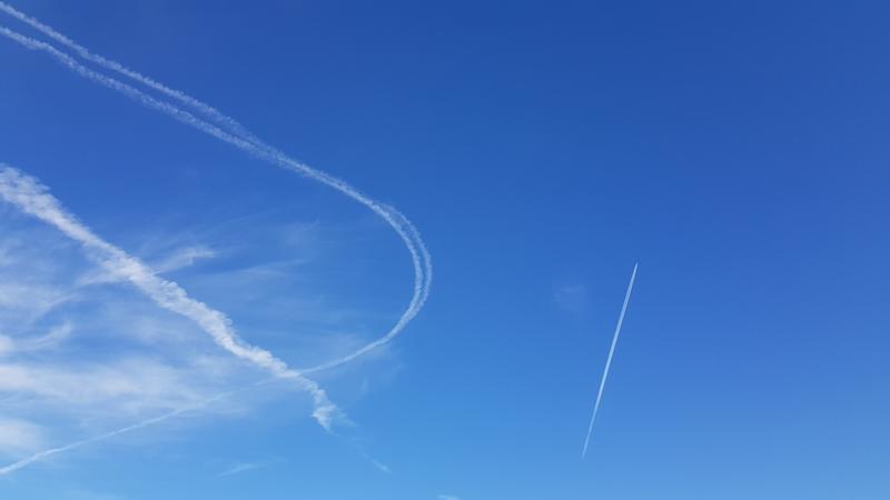 20190323-140205.jpg